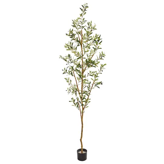 6.8ft. Potted Olive Tree